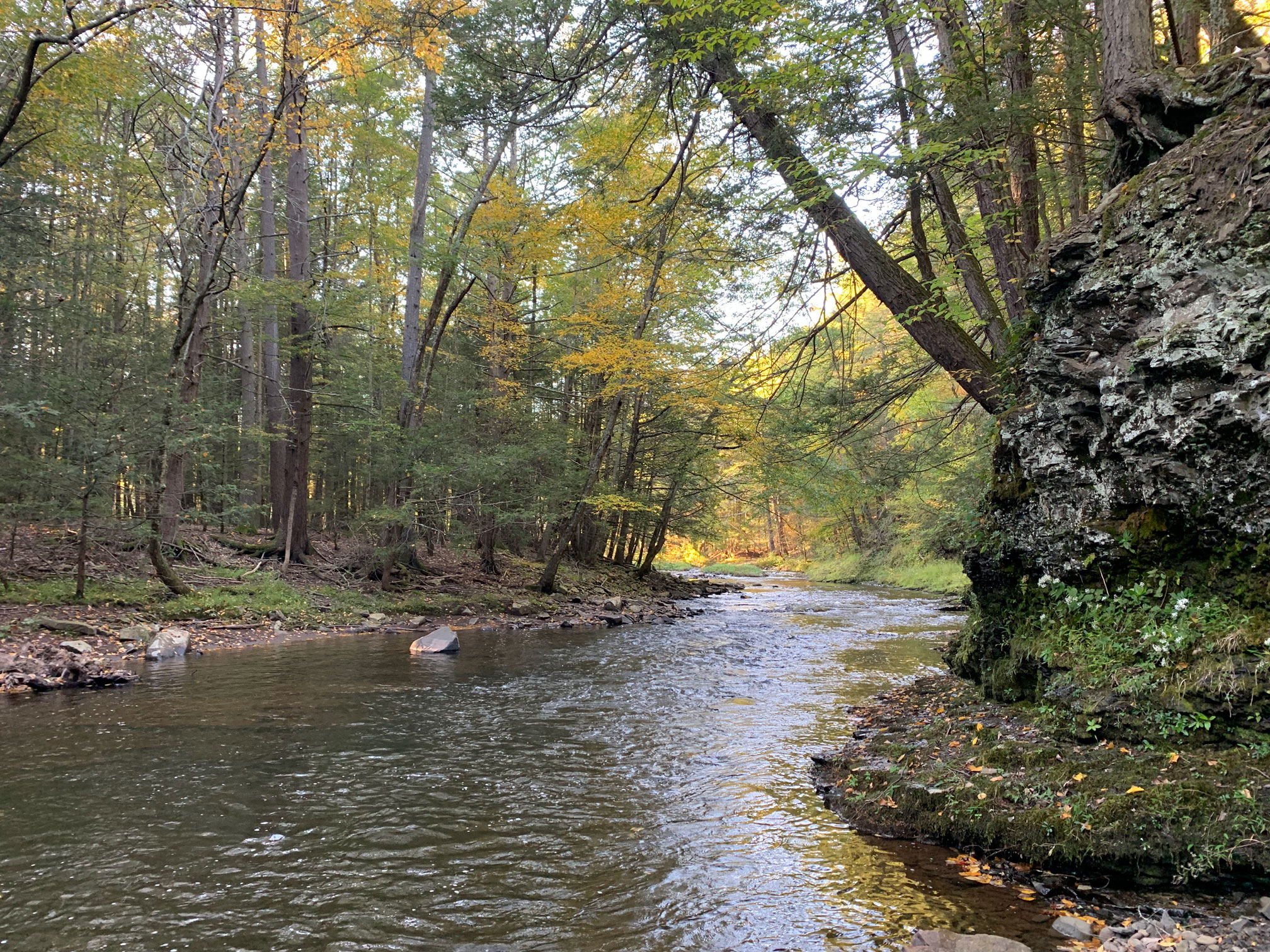 “It’s mostly sloping down to some frontage on Platekill Creek where there’s a great swimming hole that my kids love,” Graham says of the property. “I used the term ‘forest bathing’ a lot to describe why I like to spend time there.” Photo courtesy of Armand Graham
