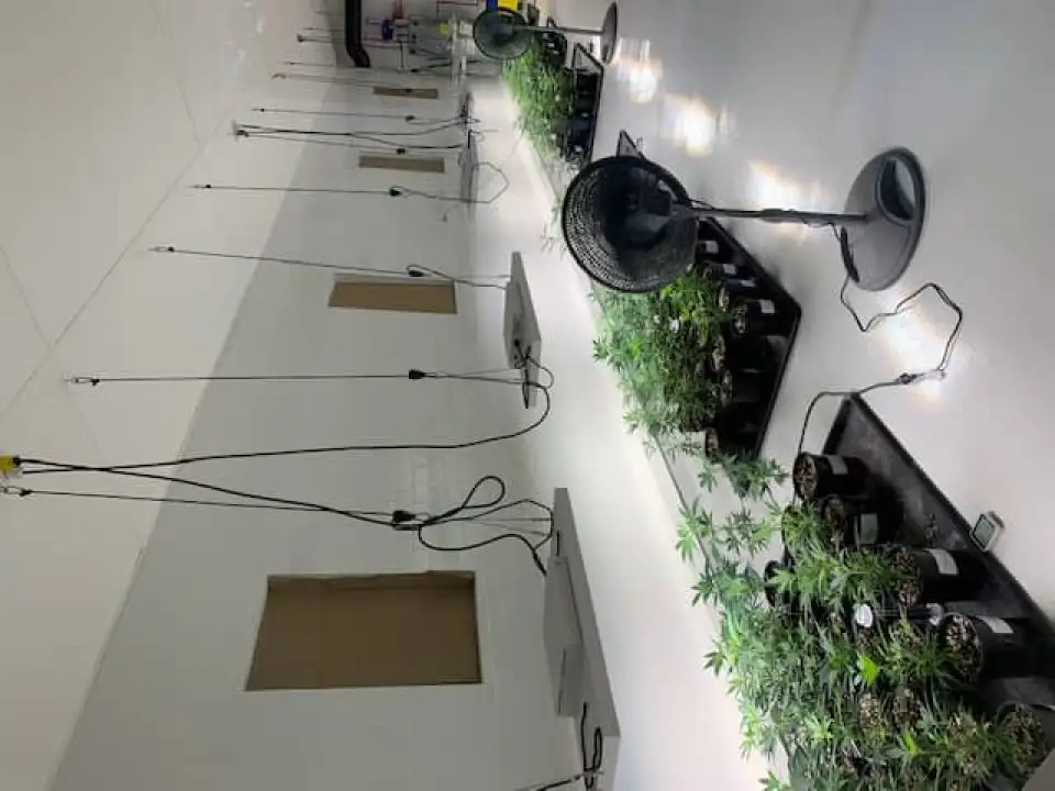 IMG 0710