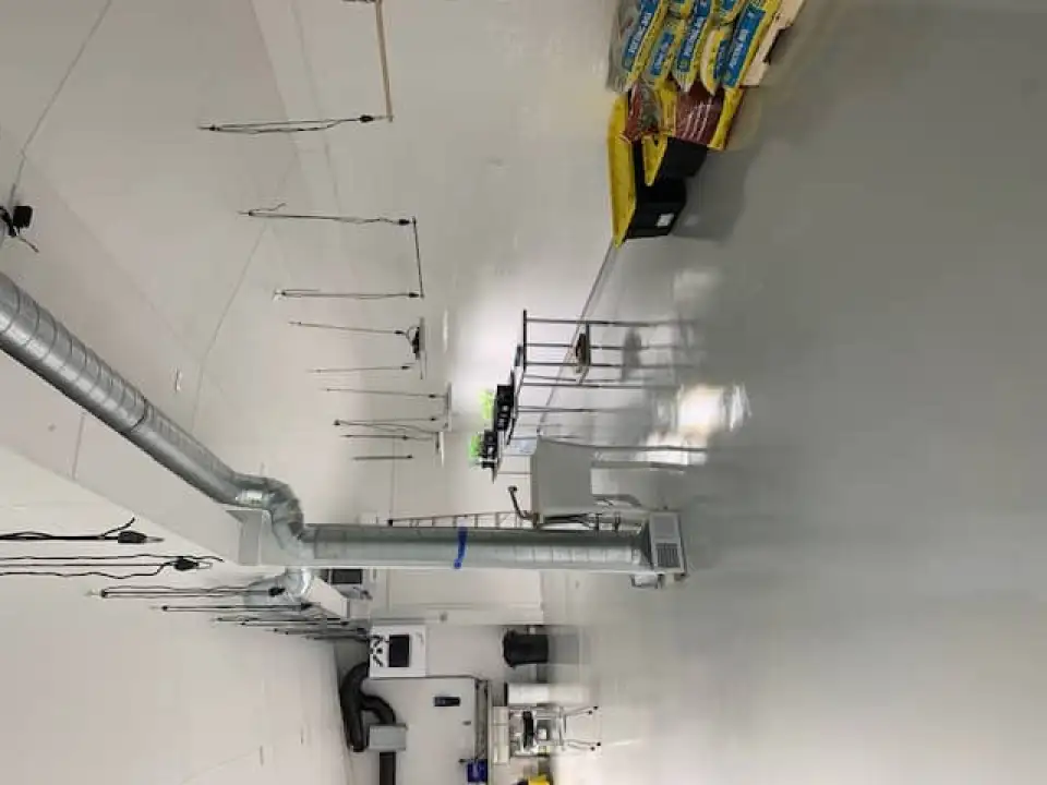 IMG 0711